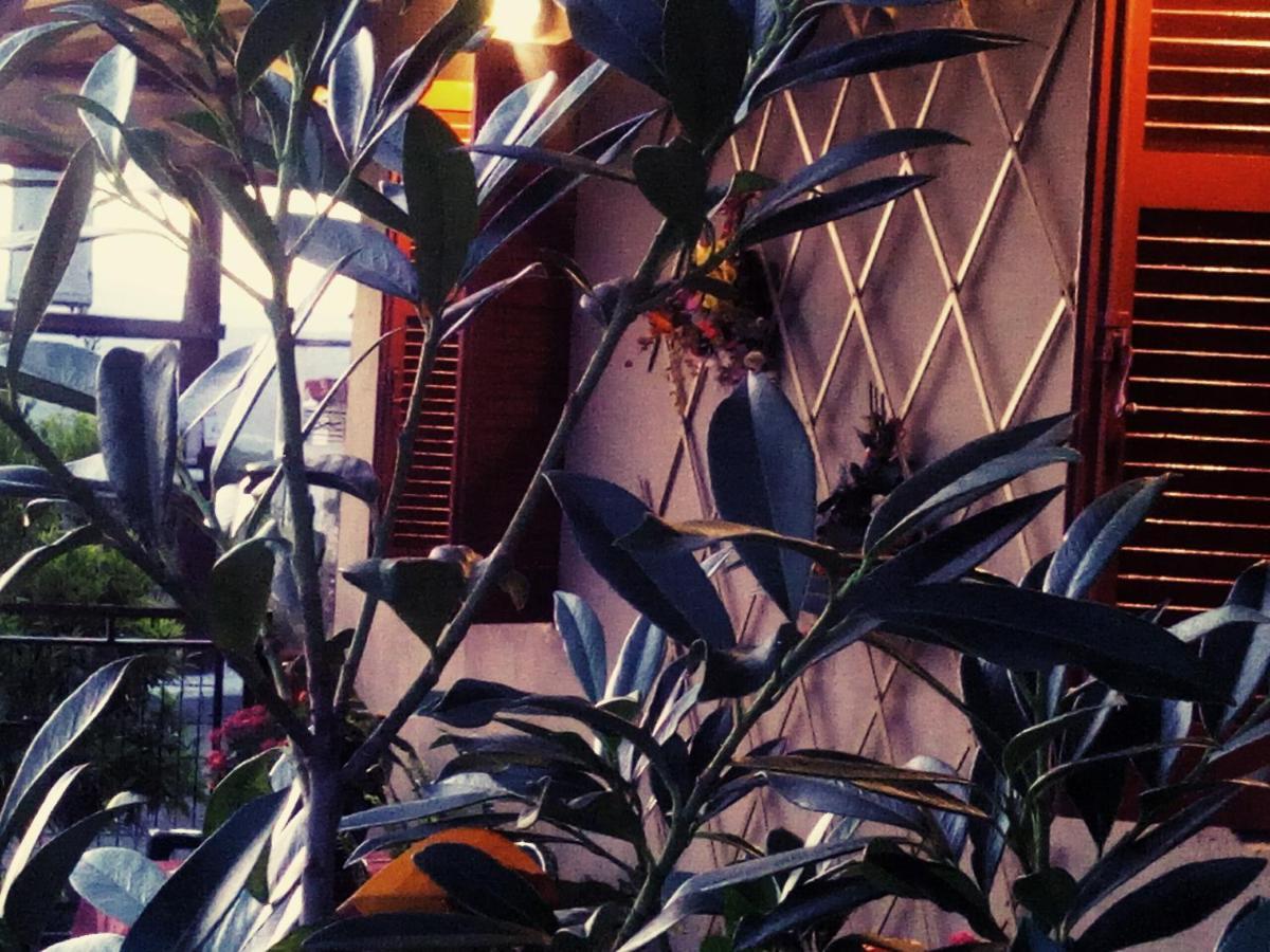 Maison Des Amis Vatopédhion エクステリア 写真